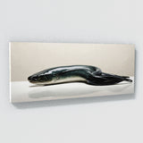 Moray Eel Eel Essence 100