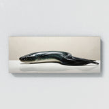 Moray Eel Eel Essence 100