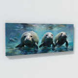 Manatee Ballet 50