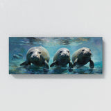 Manatee Ballet 50
