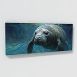 Manatee Gaze 12