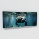 Manatee Submerged Serenity 75