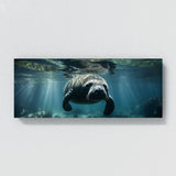 Manatee Submerged Serenity 75