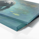 Manatee Tranquil Waterscape 54