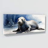 Sea Lion Blue Sea Grace 51
