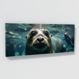 Sea Lion Bubbles Of Serenity 84