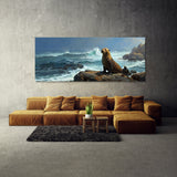 Sea Lion Contemplative Coastline 24