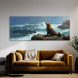 Sea Lion Contemplative Coastline 24