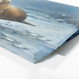 Sea Lion Frozen Serenity 26