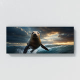 Sea Lion Leaping Majesty 80