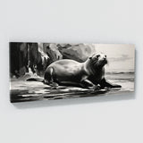 Sea Lion Monochrome 119
