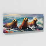 Sea Lion Serenade 66