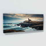 Sea Lion Solitary Majesty 87