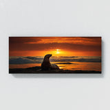 Sea Lion Sunset 98