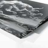 Cuttlefish Grayscale Burst 97