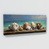 Clam Seaside Treasures Display 11