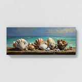 Clam Seaside Treasures Display 11