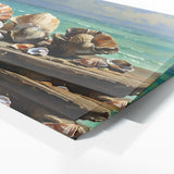 Clam Seaside Treasures Display 11