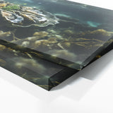 Oyster Ethereal Ocean Glow 81