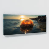 Sea Urchin Ethereal Sea Glow 68