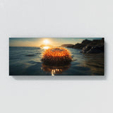 Sea Urchin Ethereal Sea Glow 68
