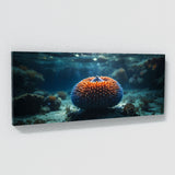 Sea Urchin Otherworldly Depths 73