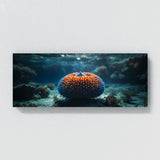 Sea Urchin Otherworldly Depths 73