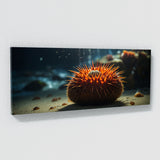Sea Urchin Radiant Spines 79