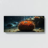 Sea Urchin Radiant Spines 79