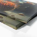 Sea Urchin Radiant Spines 79