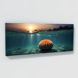 Sea Urchin Twilight Glow 82