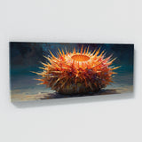 Sea Urchin Vivid Spinal Burst 48