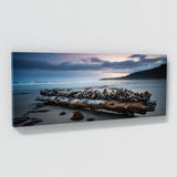 Barnacle Twilight Driftwood 72