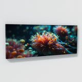 Plankton Luminescence 81