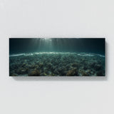 Plankton Spectacle 76