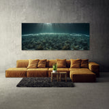 Plankton Spectacle 76