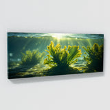 Algae Sunlit Dance 66