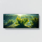 Algae Sunlit Dance 66