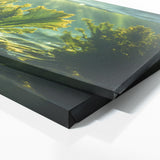 Algae Sunlit Dance 66