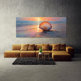 Scallop Dawns Glow 53