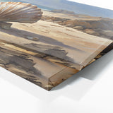 Scallop Driftwood Shell 6