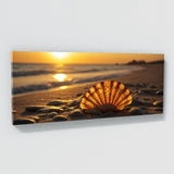 Scallop Golden Sunset 63