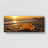 Scallop Golden Sunset 63