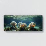 Scallop Oceanic Elegance 66