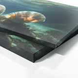 Scallop Oceanic Elegance 66
