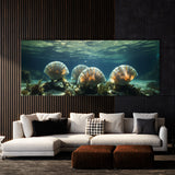 Scallop Oceanic Elegance 66