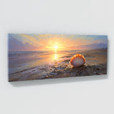 Scallop Sunrise Reflection Shell 7