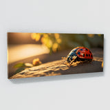 Ladybug Golden 80
