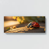 Ladybug Golden 80