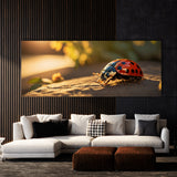 Ladybug Golden 80